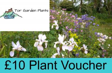 Voucher - £10 Tor Garden Plant Voucher